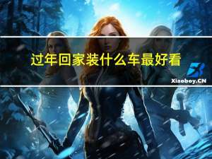 过年回家装什么车最好看