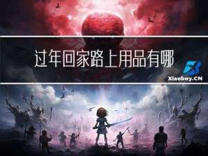 过年回家路上用品有哪些