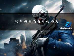 过年回家还有乐趣吗英语