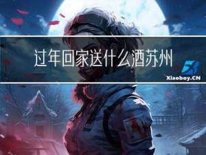 过年回家送什么酒苏州
