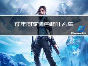 过年回家适合租什么车位