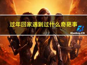 过年回家遇到过什么奇葩事
