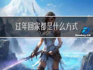 过年回家都是什么方式的