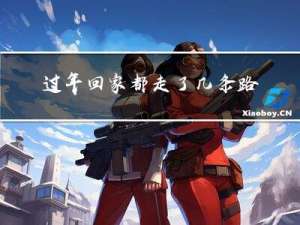 过年回家都走了几条路英文