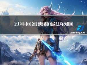 过年回家需要多少钱啊