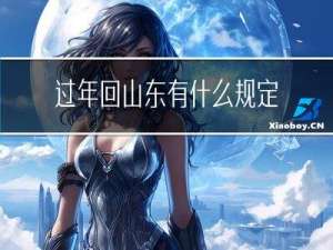 过年回山东有什么规定没