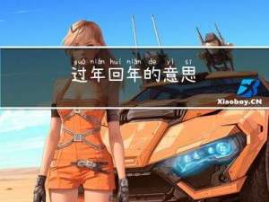 过年回年的意思