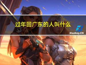 过年回广东的人叫什么