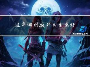 过年回村做什么生意好呢