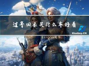 过年回来买什么车好看