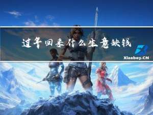 过年回来什么生意缺钱