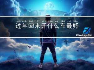 过年回来开什么车最好看