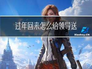 过年回来怎么给领导送礼