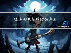 过年回来怎样给领导送东西
