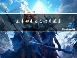 过年回来自己动手洗车好吗