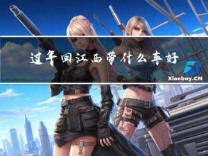 过年回江西带什么车好