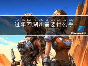 过年回湖州需要什么手续