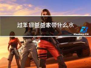 过年回爸爸家带什么水果