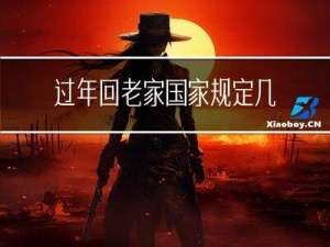 过年回老家国家规定几天
