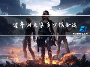 过年回老家多少钱合适