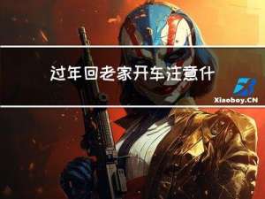 过年回老家开车注意什么