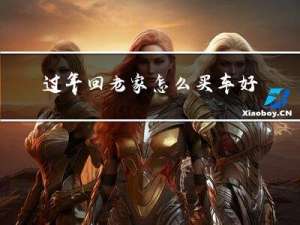 过年回老家怎么买车好
