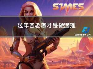 过年回老家才是硬道理图片