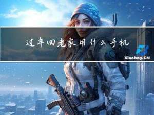 过年回老家用什么手机最好