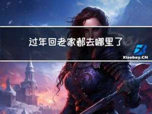 过年回老家都去哪里了了