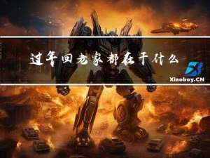 过年回老家都在干什么活