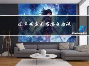 过年回老家需要准备现金吗