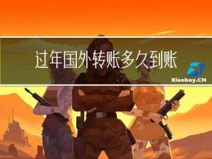 过年国外转账多久到账