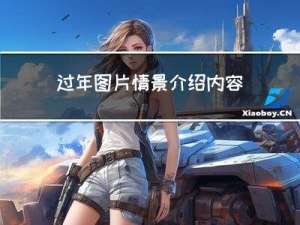 过年图片情景介绍内容