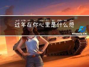 过年在你心里是什么感受