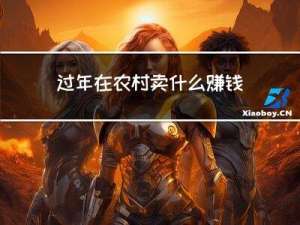 过年在农村卖什么赚钱