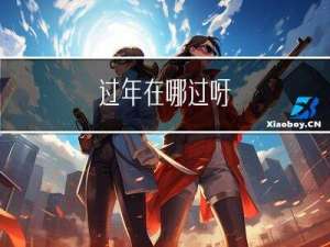 过年在哪过呀