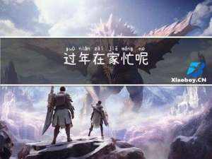 过年在家忙呢