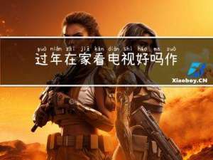 过年在家看电视好吗作文