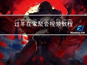过年在家聚会视频教程