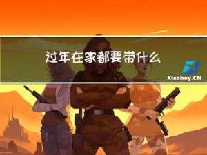 过年在家都要带什么