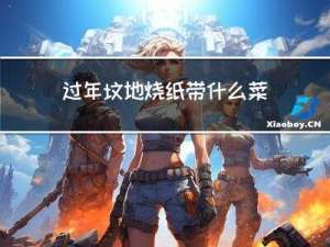 过年坟地烧纸带什么菜好呢