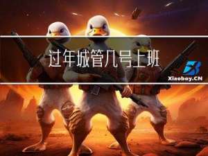 过年城管几号上班