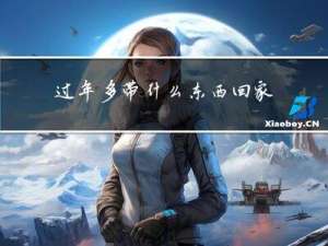 过年多带什么东西回家