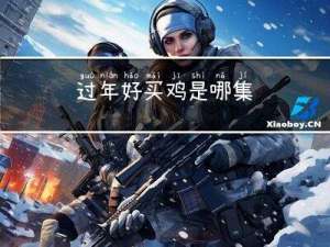 过年好买鸡是哪集