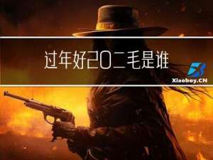 过年好 二毛是谁