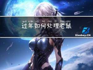 过年如何处理老鼠