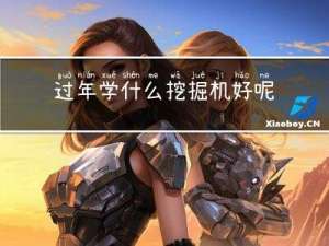 过年学什么挖掘机好呢