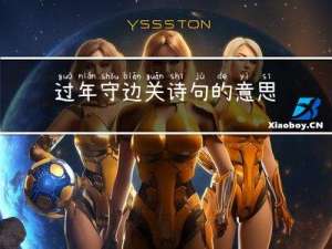 过年守边关诗句的意思