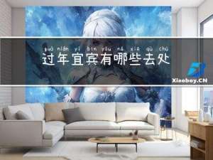 过年宜宾有哪些去处