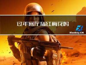 过年客厅插红梅花吗